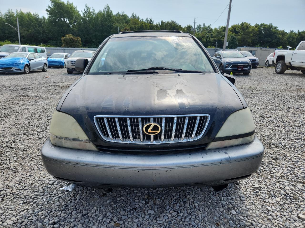 Lexus RX 300 Image 10