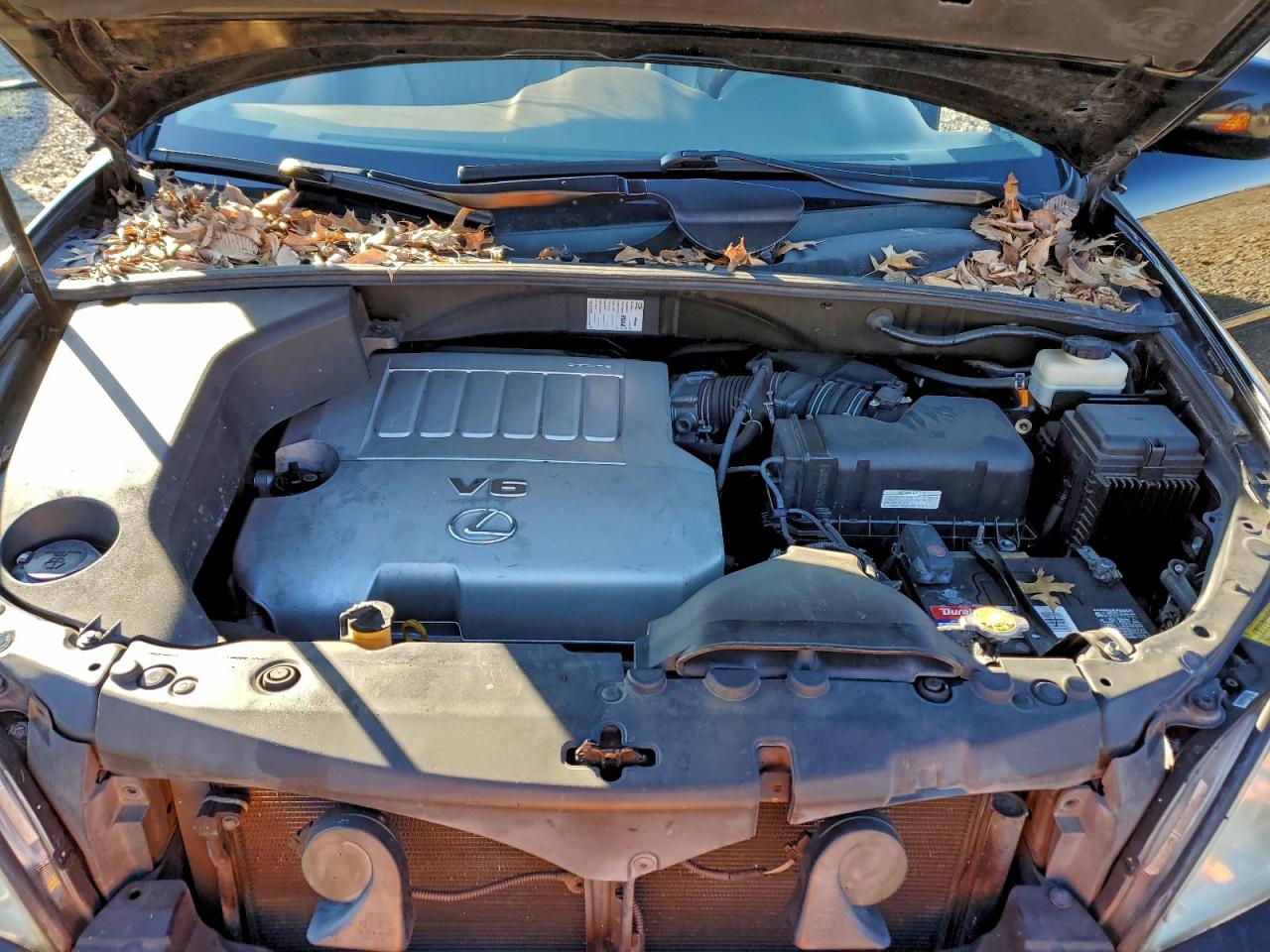 Lexus RX 350 Image 7