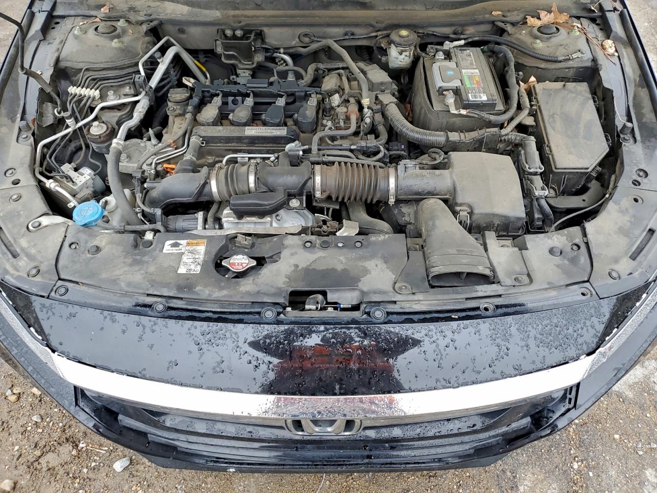 Honda Accord Lx Image 8