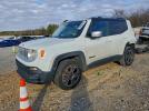 Jeep Renegade Limited Image 1