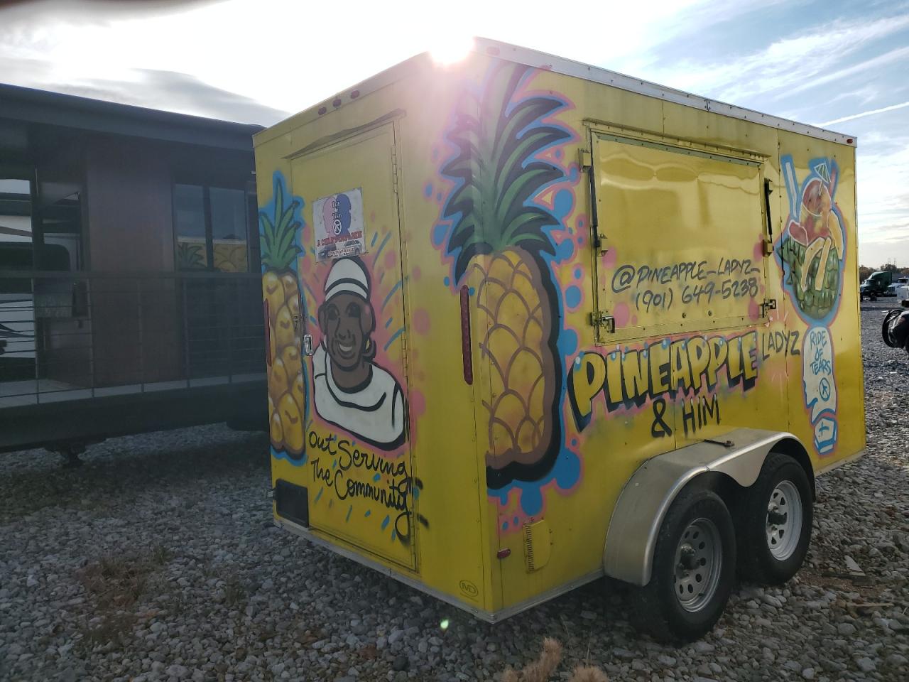 South Georgia Other Image 3