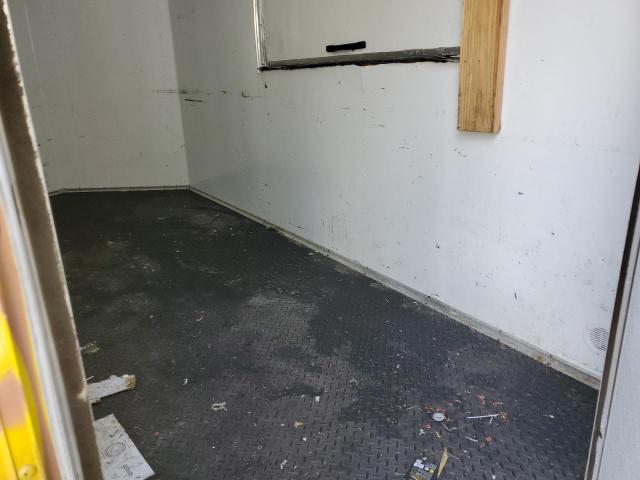 South Georgia Other Image 7