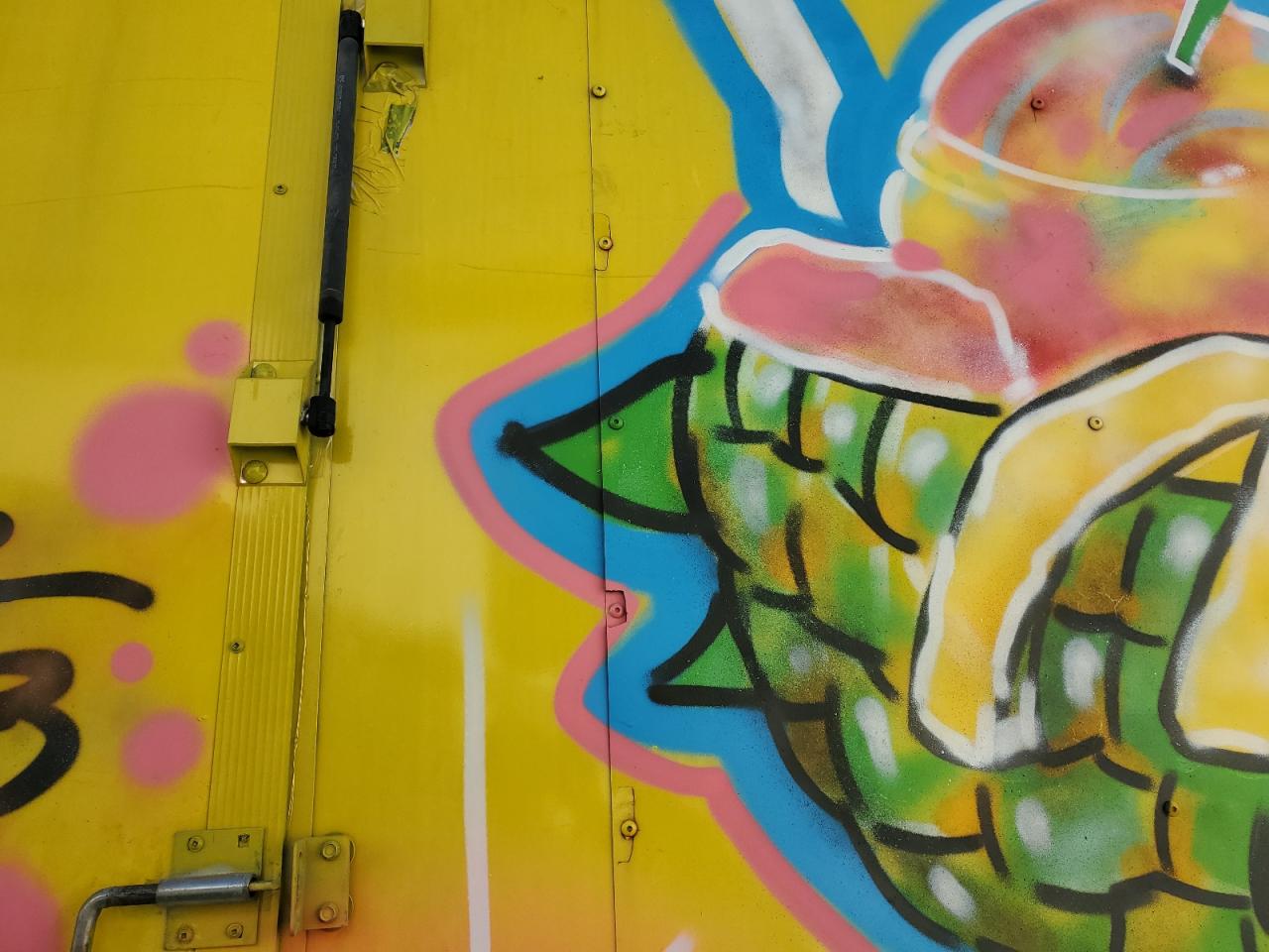 South Georgia Other Image 9