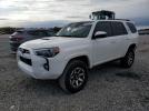 Toyota 4Runner Sr5/sr5 Premium Image 1