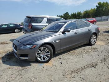  Salvage Jaguar XF