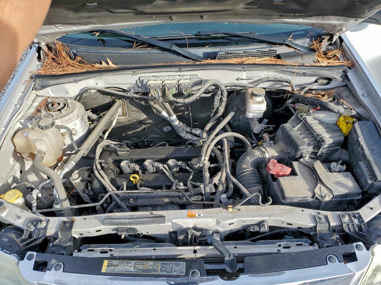 Mazda Tribute I Image 11