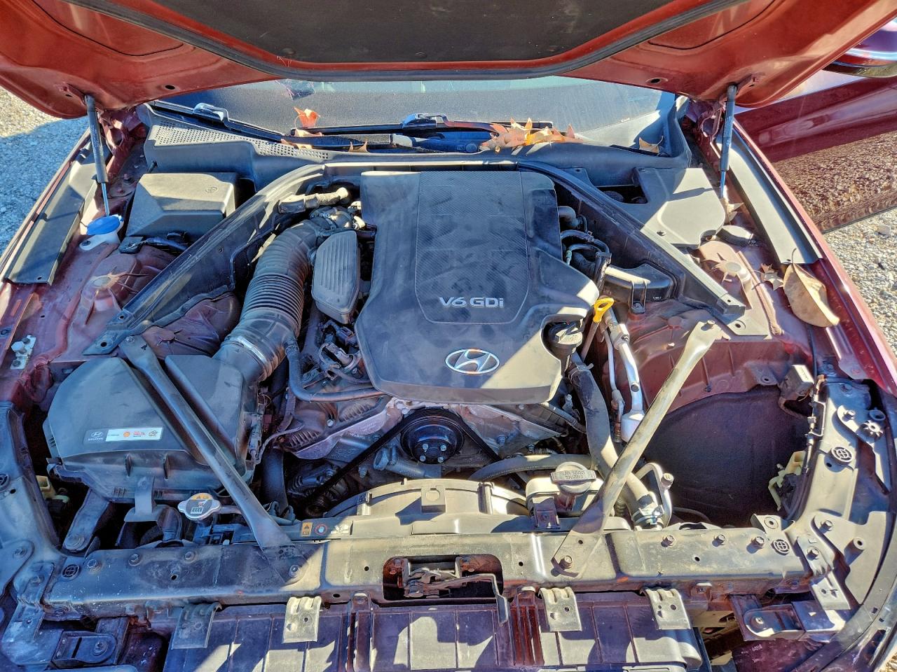 Hyundai Genesis 3.8l Image 10