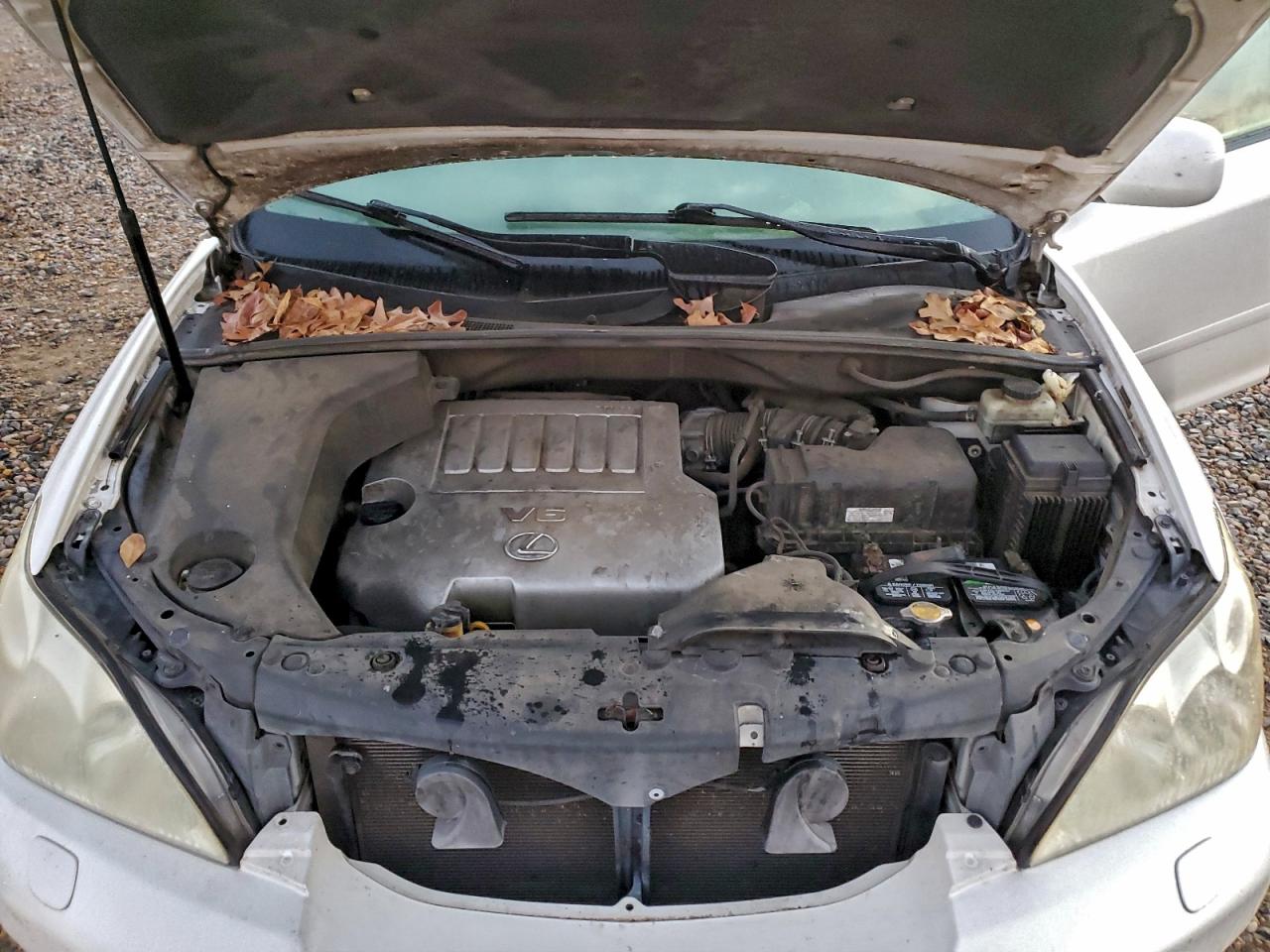 Lexus RX 350 Image 9