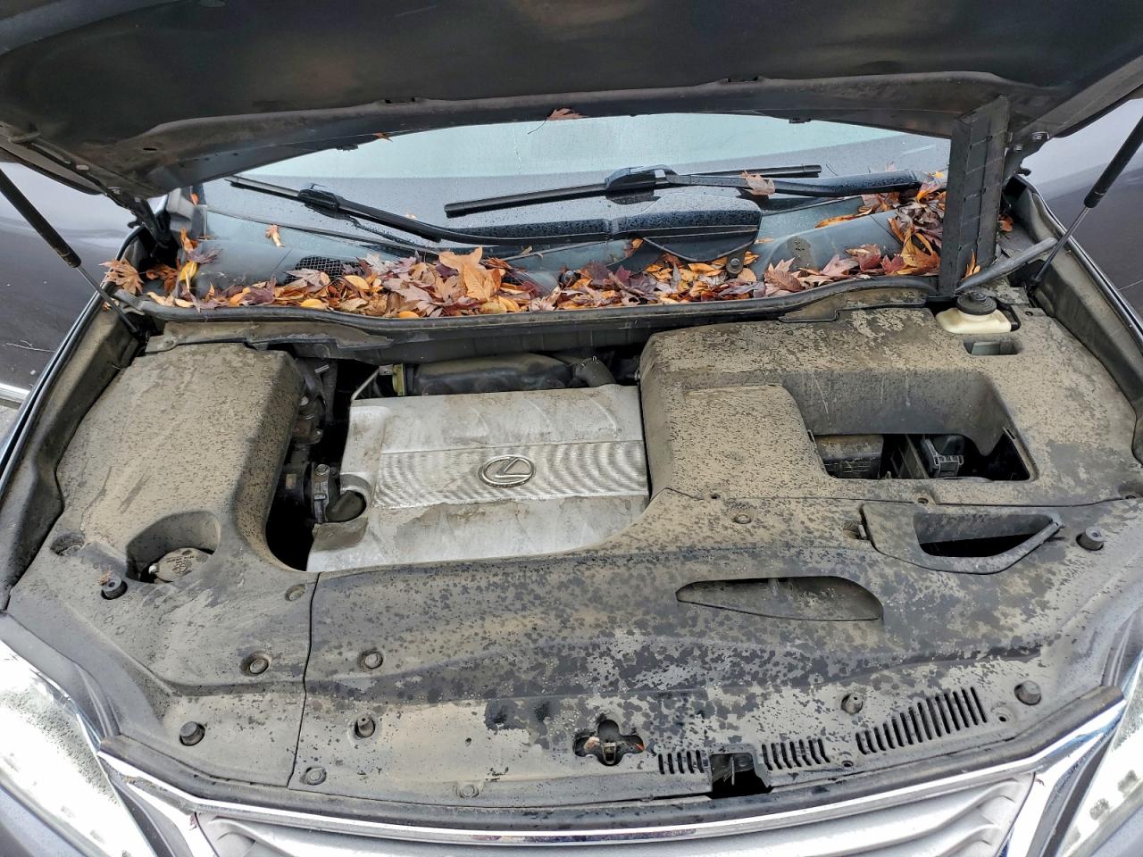 Lexus RX 350 Base Image 10