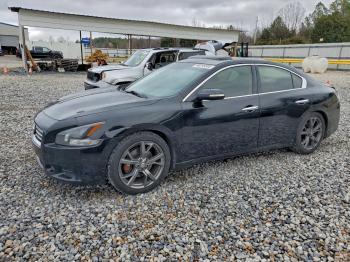  Salvage Nissan Maxima