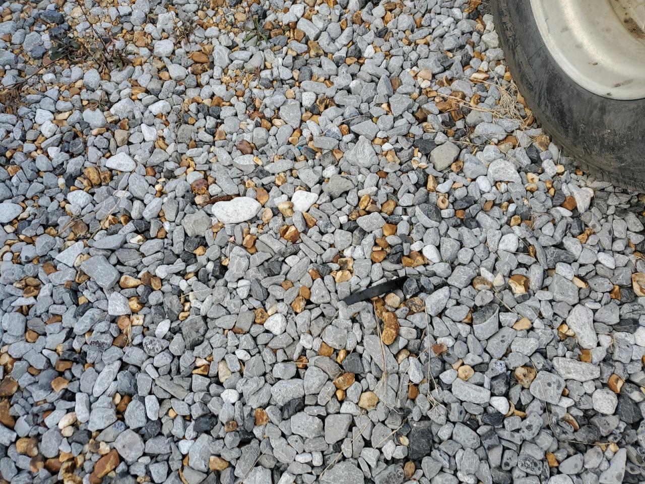 Reef Trailer Image 9